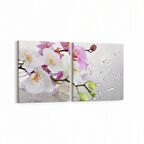 Olla 11670K2Y Orkide Çiçek Görseli 2'li Yatay Kanvas Tablo (Ölçü: 145X70)