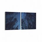 Olla 14678K2Y Gece Gökyüzü Görseli Kare 2'li Yatay Kanvas Tablo (Ölçü: 65X30)