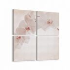 Olla 11722K4 Orkide Çiçek Görseli Kare 4'lü Kanvas Tablo (Ölçü: 145X145)