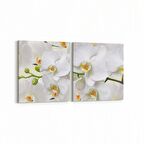Olla 11733K2Y Orkide Çiçek Görseli 2'li Yatay Kanvas Tablo (Ölçü: 105X50)