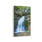Olla 13232DD Doğa / Manzara Görseli Dikey Dar Kanvas Tablo (Ölçü: 30X60)