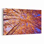 Olla 10606Y Ağaç Görseli Yatay Kanvas Tablo (Ölçü: 90X60)