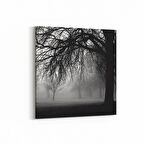 Olla 13652K Doğa / Manzara Görseli Kare Kanvas Tablo (Ölçü: 25X25)