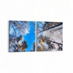 Olla 10614K2Y Ağaç Görseli Kare 2'li Yatay Kanvas Tablo (Ölçü: 105X50)