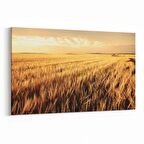 Olla 14008Y Doğa / Manzara Görseli Yatay Kanvas Tablo (Ölçü: 150X100)