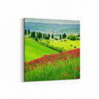 Olla 13361K Doğa / Manzara Görseli Kare Kanvas Tablo (Ölçü: 25X25)