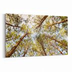 Olla 10639Y Ağaç Görseli Yatay Kanvas Tablo (Ölçü: 120X80)