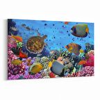 Olla 12141Y Akvaryum / Balık Görseli Yatay Kanvas Tablo (Ölçü: 30X20)