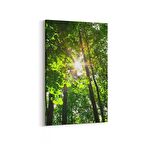 Olla 13710D Doğa / Manzara Görseli Dikey Kanvas Tablo (Ölçü: 100X150)