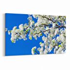 Olla 10651Y Ağaç Görseli Yatay Kanvas Tablo (Ölçü: 70X50)