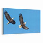 Olla 12642Y Hayvanlar Alemi Görseli Yatay Kanvas Tablo (Ölçü: 90X60)