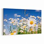 Olla 13544Y Doğa / Manzara Görseli Yatay Kanvas Tablo (Ölçü: 45X30)