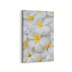 Olla 11633D Çiçek Görseli Dikey Kanvas Tablo (Ölçü: 60X90)