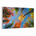 Olla 10512Y Ağaç Görseli Yatay Kanvas Tablo (Ölçü: 90X60)