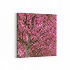 Olla 10588K Ağaç Görseli Kare Kanvas Tablo (Ölçü: 30X30)