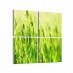 Olla 14507K4 Doğa / Manzara Görseli Kare 4'lü Kanvas Tablo (Ölçü: 145X145)