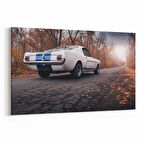 Olla 12314Y Araç Görseli Yatay Kanvas Tablo (Ölçü: 120X80)