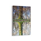 Olla 13617D Doğa / Manzara Görseli Dikey Kanvas Tablo (Ölçü: 100X150)