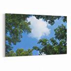 Olla 10701Y Ağaç Görseli Yatay Kanvas Tablo (Ölçü: 150X100)