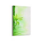 Olla 17080D Spa / Masaj Görseli Dikey Kanvas Tablo (Ölçü: 20X30)