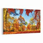 Olla 14116Y Doğa / Manzara Görseli Yatay Kanvas Tablo (Ölçü: 70X50)