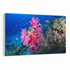 Olla 12104Y Akvaryum / Balık Görseli Yatay Kanvas Tablo (Ölçü: 150X100)