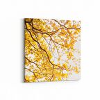 Olla 10565K Ağaç Görseli Kare Kanvas Tablo (Ölçü: 30X30)