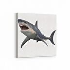 Olla 12611K Hayvanlar Alemi Görseli Kare Kanvas Tablo (Ölçü: 30X30)