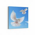 Olla 15872K Gökyüzü Kuşlar Görseli Kare Kanvas Tablo (Ölçü: 25X25)