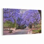 Olla 14312Y Doğa / Manzara Görseli Yatay Kanvas Tablo (Ölçü: 45X30)