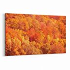 Olla 14303Y Doğa / Manzara Görseli Yatay Kanvas Tablo (Ölçü: 70X50)