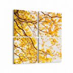 Olla 10565K4 Ağaç Görseli Kare 4'lü Kanvas Tablo (Ölçü: 65X65)