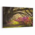 Olla 14629Y Doğa / Manzara Görseli Yatay Kanvas Tablo (Ölçü: 30X20)