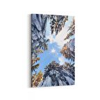 Olla 10488D Ağaç Görseli Dikey Kanvas Tablo (Ölçü: 100X150)