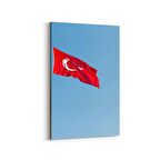 Olla 17587D Türk Bayrağı Görseli Dikey Kanvas Tablo (Ölçü: 60X90)