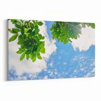 Olla 10891Y Ağaç Görseli Yatay Kanvas Tablo (Ölçü: 120X80)