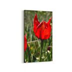 Olla 14225DD Doğa / Manzara Görseli Dikey Dar Kanvas Tablo (Ölçü: 60X120)