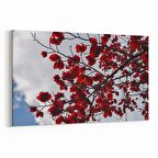 Olla 11021Y Ağaç Görseli Yatay Kanvas Tablo (Ölçü: 45X30)