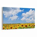 Olla 13715Y Doğa / Manzara Görseli Yatay Kanvas Tablo (Ölçü: 45X30)