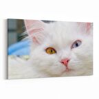 Olla 12636Y Hayvanlar Alemi Görseli Yatay Kanvas Tablo (Ölçü: 45X30)