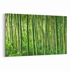 Olla 13552Y Doğa / Manzara Görseli Yatay Kanvas Tablo (Ölçü: 150X100)