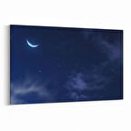 Olla 14859Y Gece Gökyüzü Görseli Yatay Kanvas Tablo (Ölçü: 120X80)