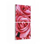Olla 11640K2D Çiçek Görseli Kare 2'li Dikey Kanvas Tablo (Ölçü: 30X65)