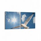 Olla 15844K2Y Gökyüzü Kuşlar Görseli Kare 2'li Yatay Kanvas Tablo (Ölçü: 105X50)