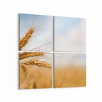 Olla 15241K4 Gıda Görseli Kare 4'lü Kanvas Tablo (Ölçü: 105X105)