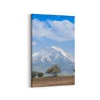 Olla 13771D Doğa / Manzara Görseli Dikey Kanvas Tablo (Ölçü: 100X150)