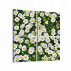 Olla 11568K4 Çiçek Görseli Kare 4'lü Kanvas Tablo (Ölçü: 65X65)