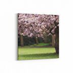 Olla 13444K Doğa / Manzara Görseli Kare Kanvas Tablo (Ölçü: 60X60)