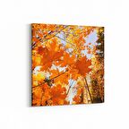 Olla 10524K Ağaç Görseli Kare Kanvas Tablo (Ölçü: 25X25)