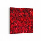 Olla 11603K Çiçek Görseli Kare Kanvas Tablo (Ölçü: 100X100)